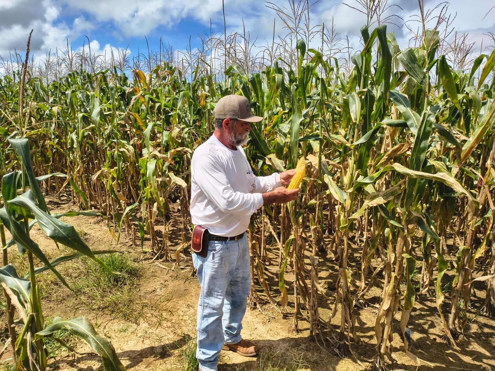produtor-beneficiado-pelo-pecuaria-mais-eficiente-recebe-apoio-para-producao-de-silagem