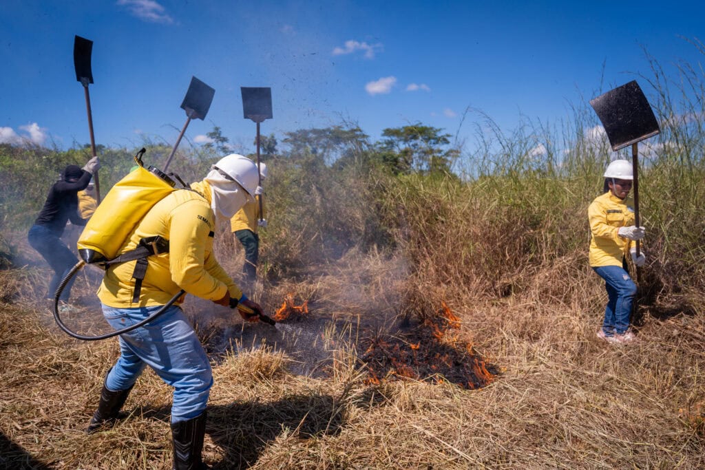 processo-seletivo-para-brigadistas-comunitarios-entra-na-fase-final-com-curso-de-formacao-e-simulacao-de-combate-a-incendio