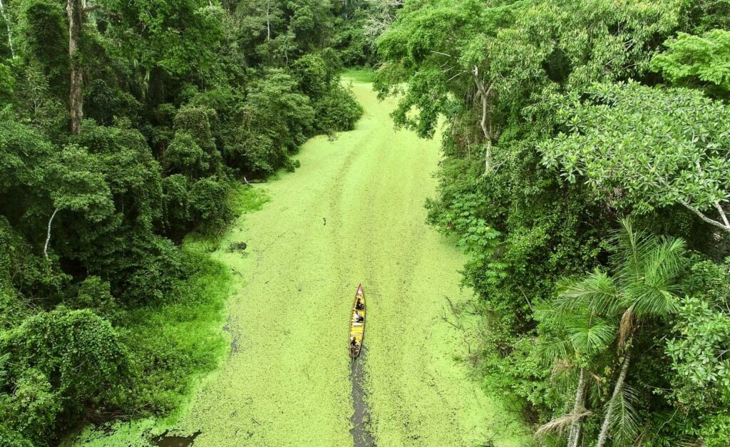 governo-lanca-edital-para-captar-patrocinio-para-acoes-do-mes-do-meio-ambiente-2026