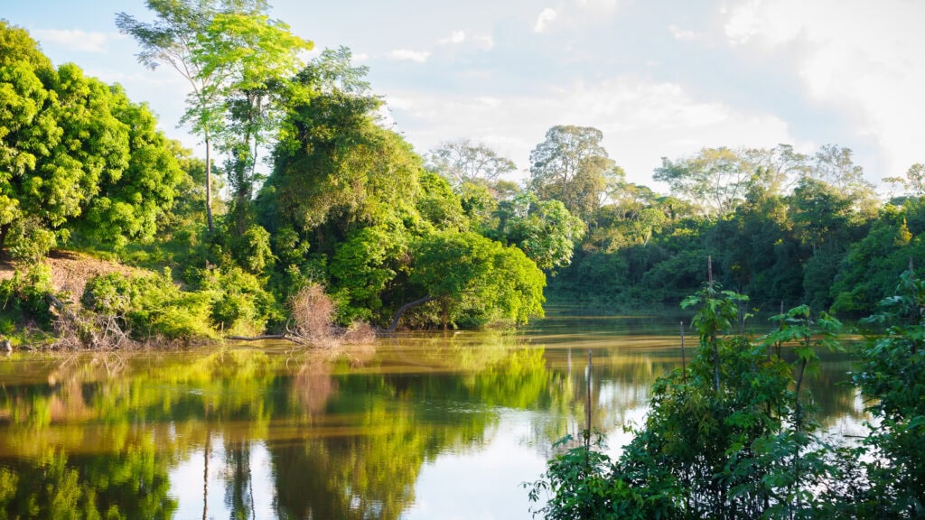 programa-de-resiliencia-socioambiental-integra-conservacao,-seguranca-hidrica-e-desenvolvimento-sustentavel-em-rio-branco