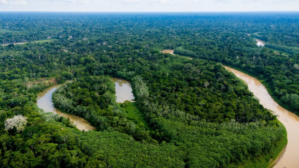 com-apenas-21-focos-de-calor,-acre-lidera-ranking-nacional-de-reducao-de-queimadas-em-2026