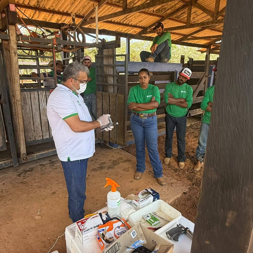 curso-de-agente-vacinador-contra-a-brucelose-amplia-cobertura-vacinal-de-femeas-bovinas-e-bubalinas-no-acre