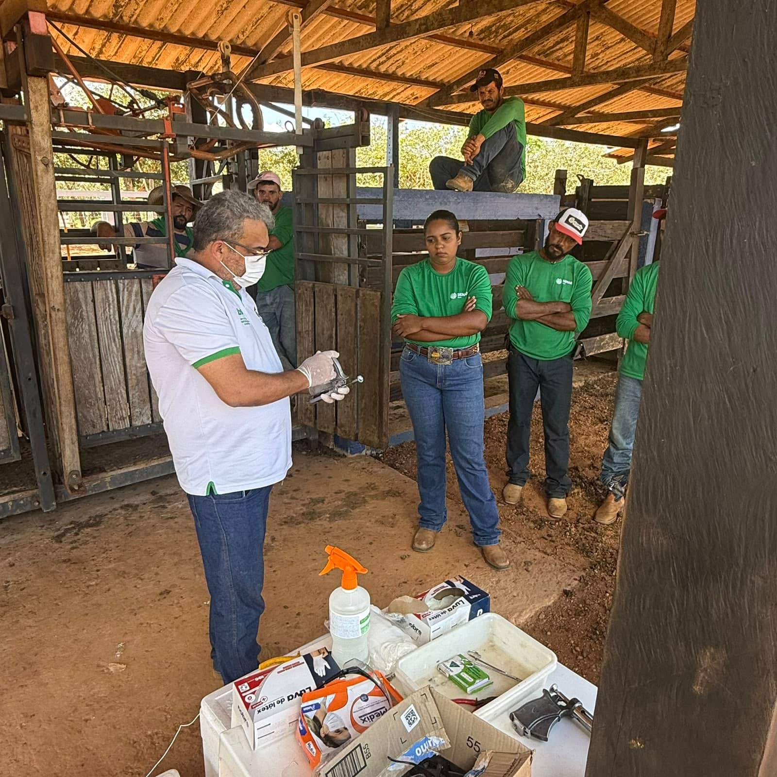 curso-de-agente-vacinador-contra-a-brucelose-amplia-cobertura-vacinal-de-femeas-bovinas-e-bubalinas-no-acre