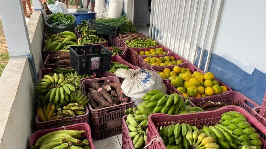 programa-de-aquisicao-de-alimentos-beneficia-agricultores-familiares-e-fortalece-seguranca-alimentar-em-municipios-acreanos