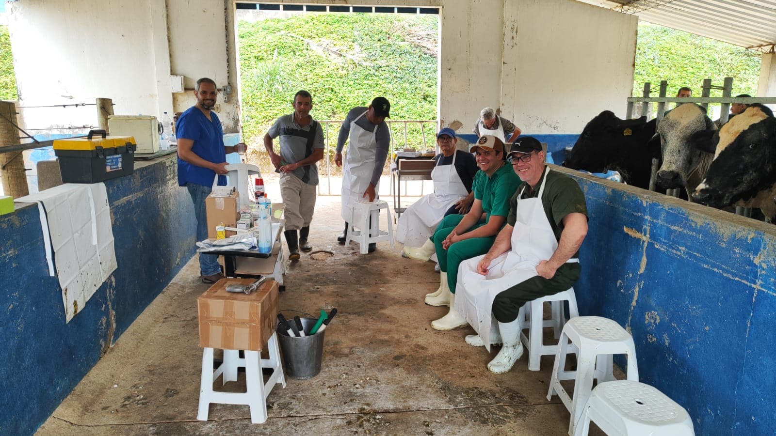 secretaria-de-agricultura-participa-de-capacitacao-em-reproducao-bovina-promovida-pela-embrapa