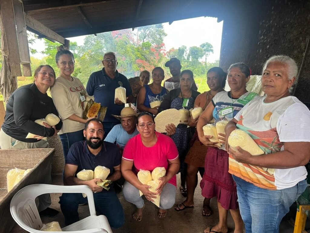 secretaria-de-agricultura-promove-capacitacao-voltada-a-cadeia-produtiva-da-mandioca