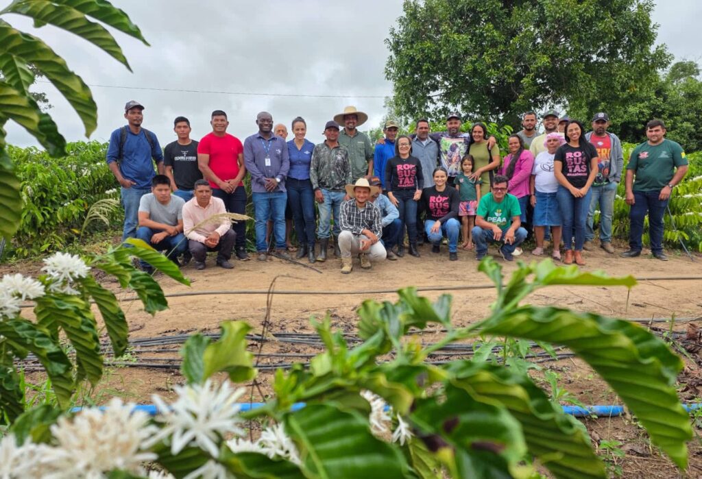 governo-do-acre-promove-treinamento-em-colheita-e-pos-colheita-do-cafe-robusta-amazonico