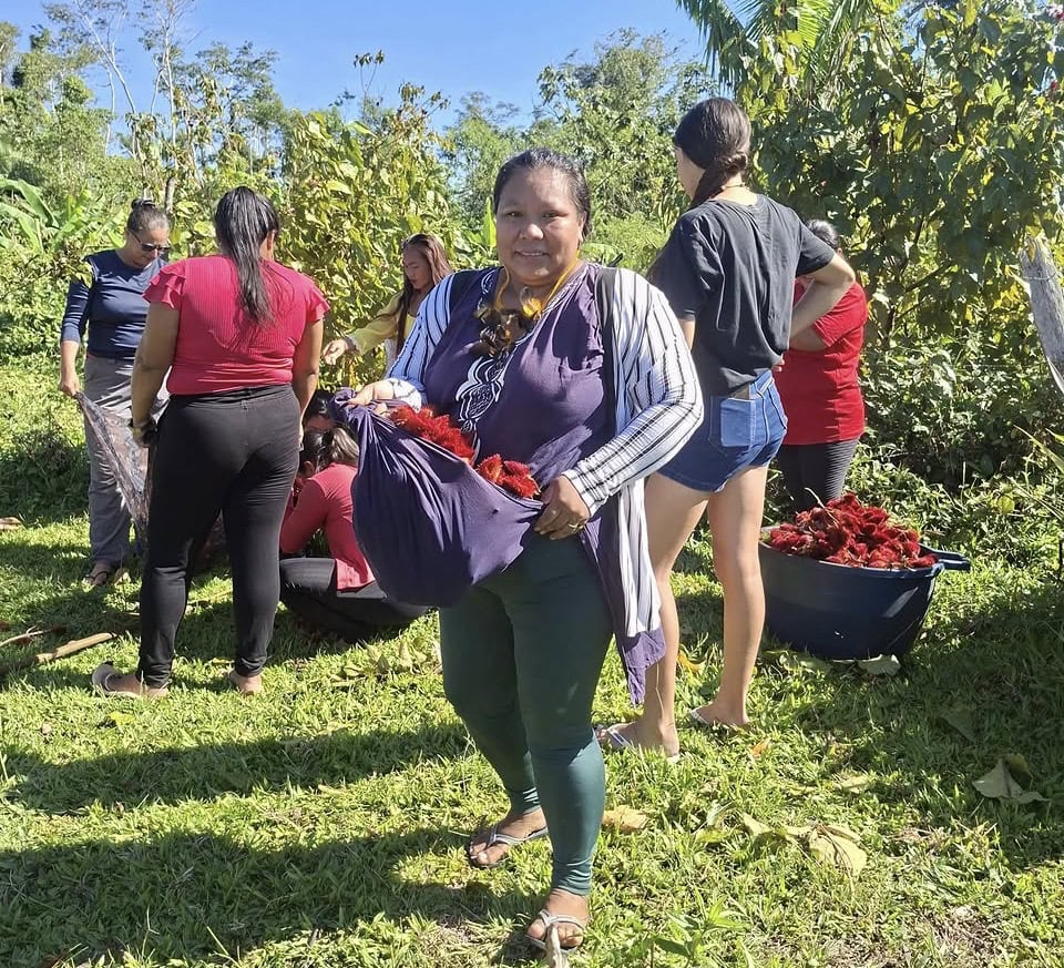 lideranca-indigena-do-acre-recebe-bolsa-internacional-para-fortalecer-educacao,-comunicacao-e-memoria-do-povo-shanenawa