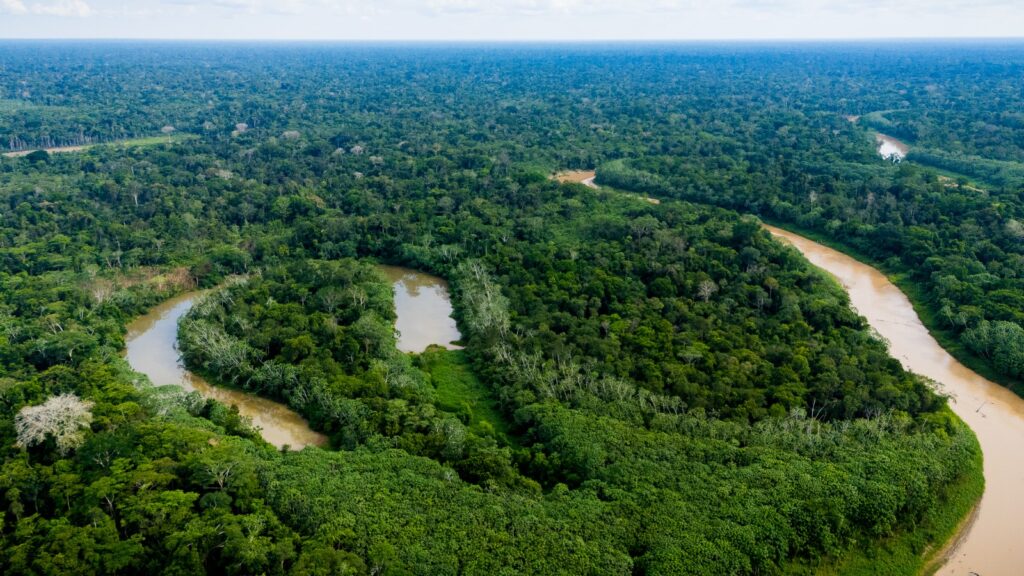acoes-integradas-do-governo-contribuem-para-o-menor-registro-de-focos-de-calor-em-sete-anos-no-acre