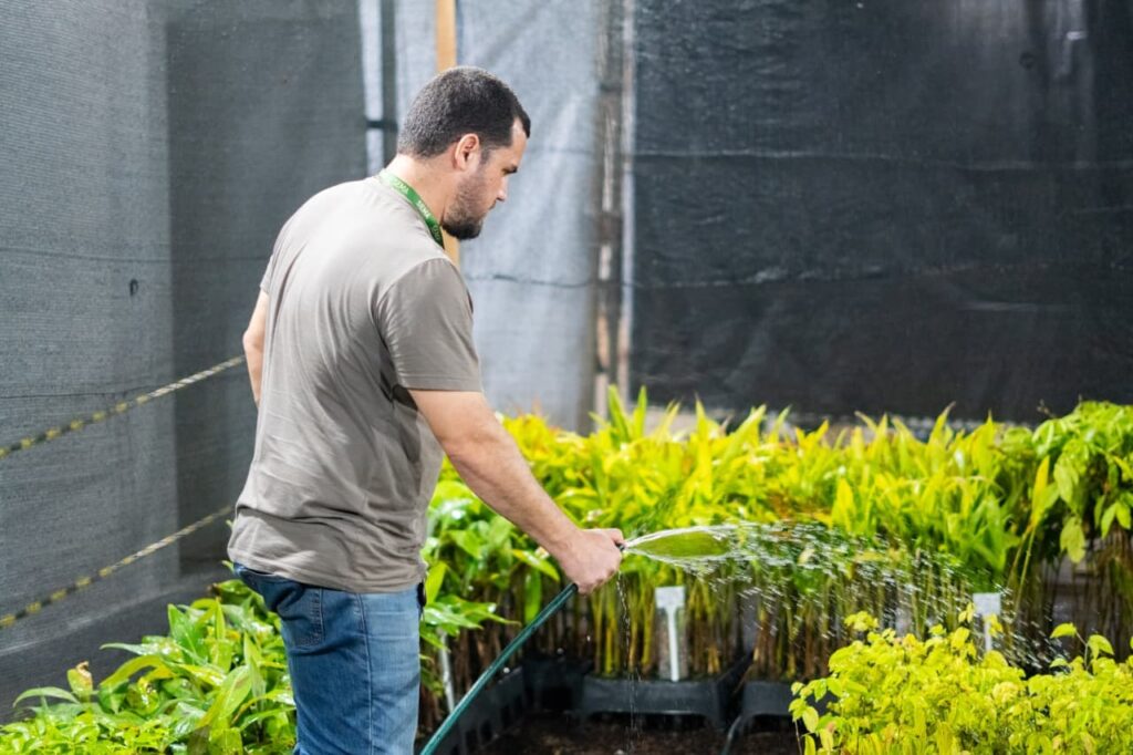 expoacre-jurua-doara-cerca-de-3-mil-mudas-de-especies-nativas-e-frutiferas-a-populacao-neste-domingo